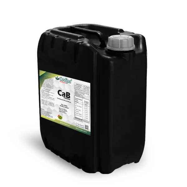 CAB PREMIUM - Imagem 3